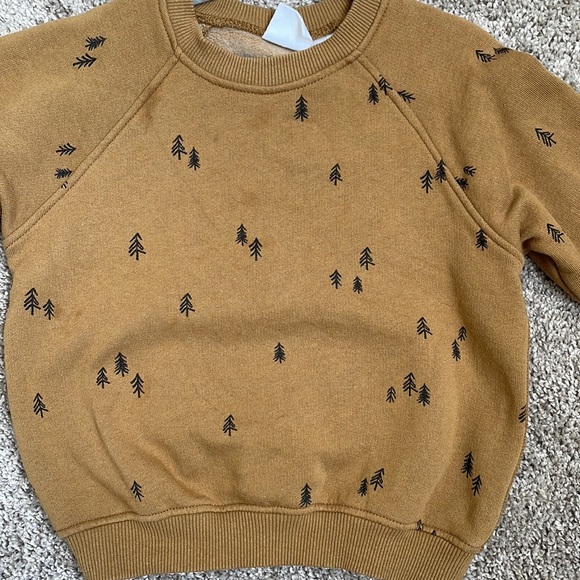 Zara Sweatshirt with Trees - Picture 6 of 10